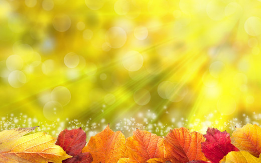 890143 (a): :2880x1800
